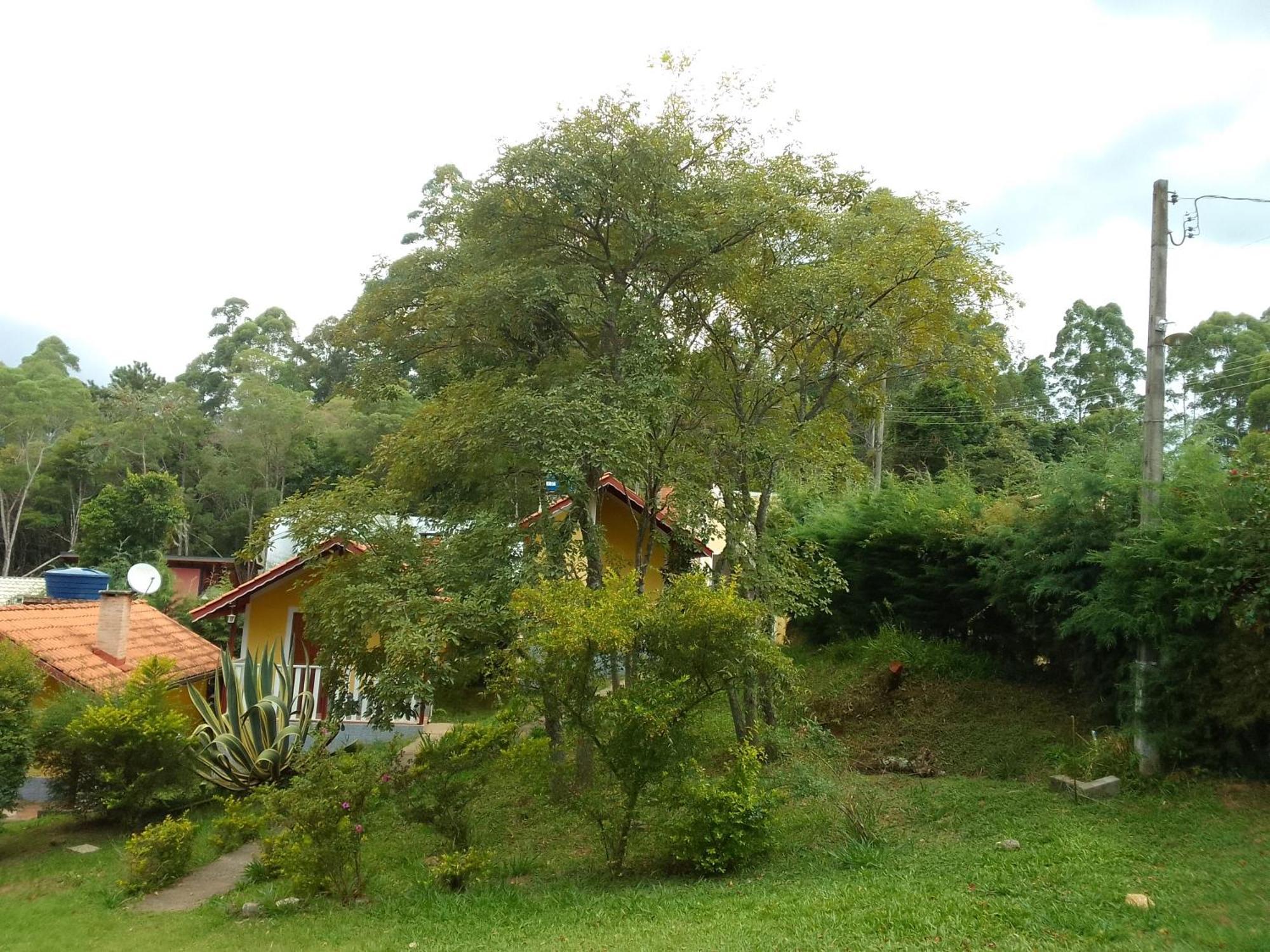 Hotel Pousada Canto dos Pássaros Monte Verde  Exterior foto